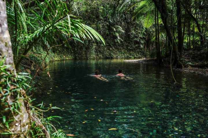 Refreshing Rainforest Swim with Daintree Discovery Tours