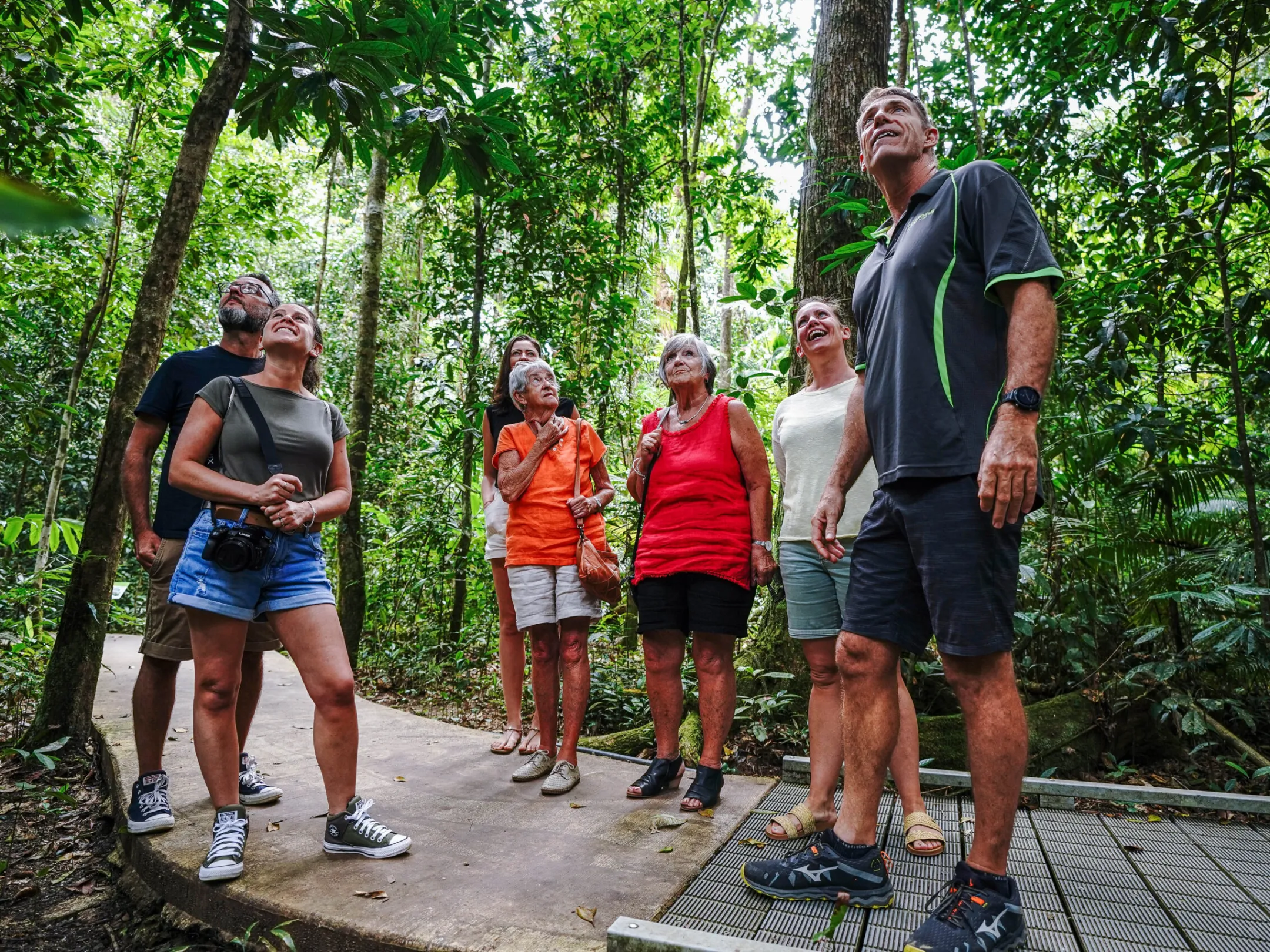 Daintree Discovery Tours - Small Group Tours from Port Douglas