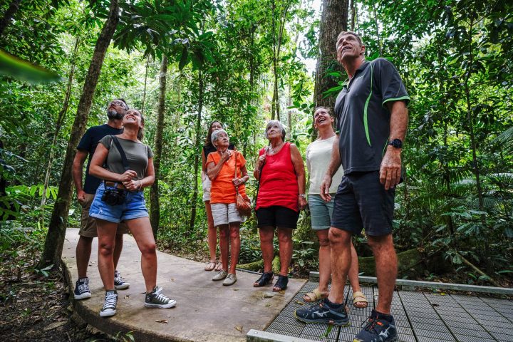 Daintree Discovery Tours - Small Group Tours from Port Douglas
