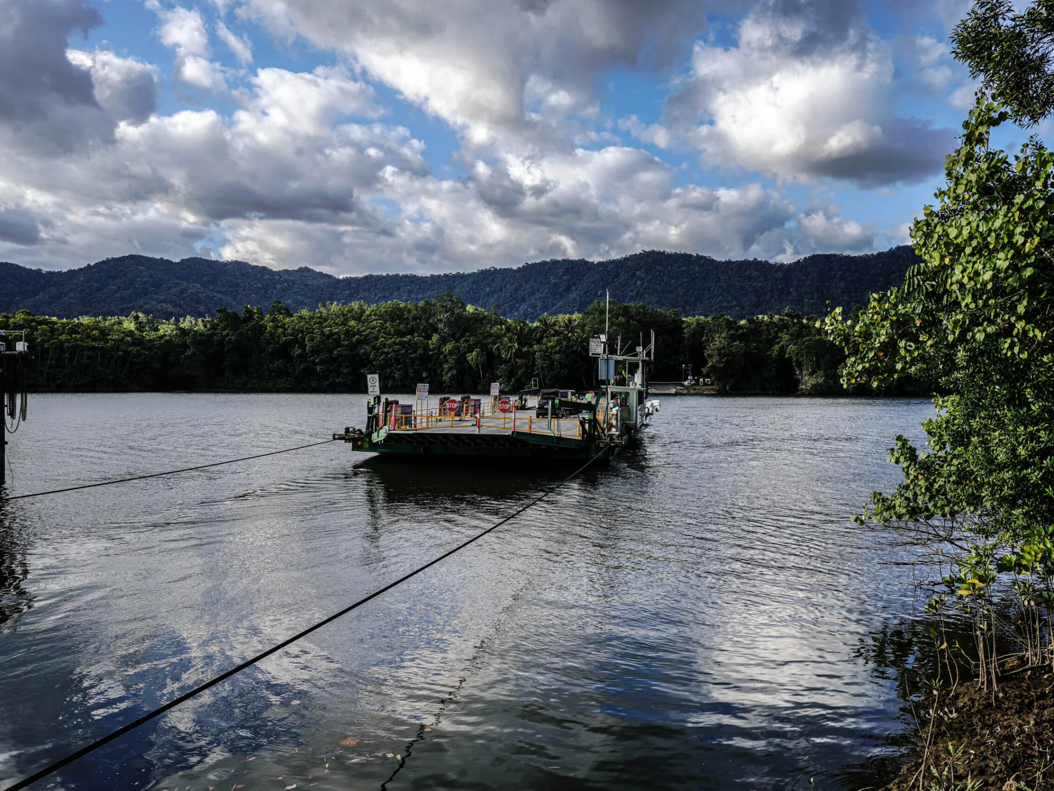 Daintree Ferry Crossing with Daintree Discovery Tours