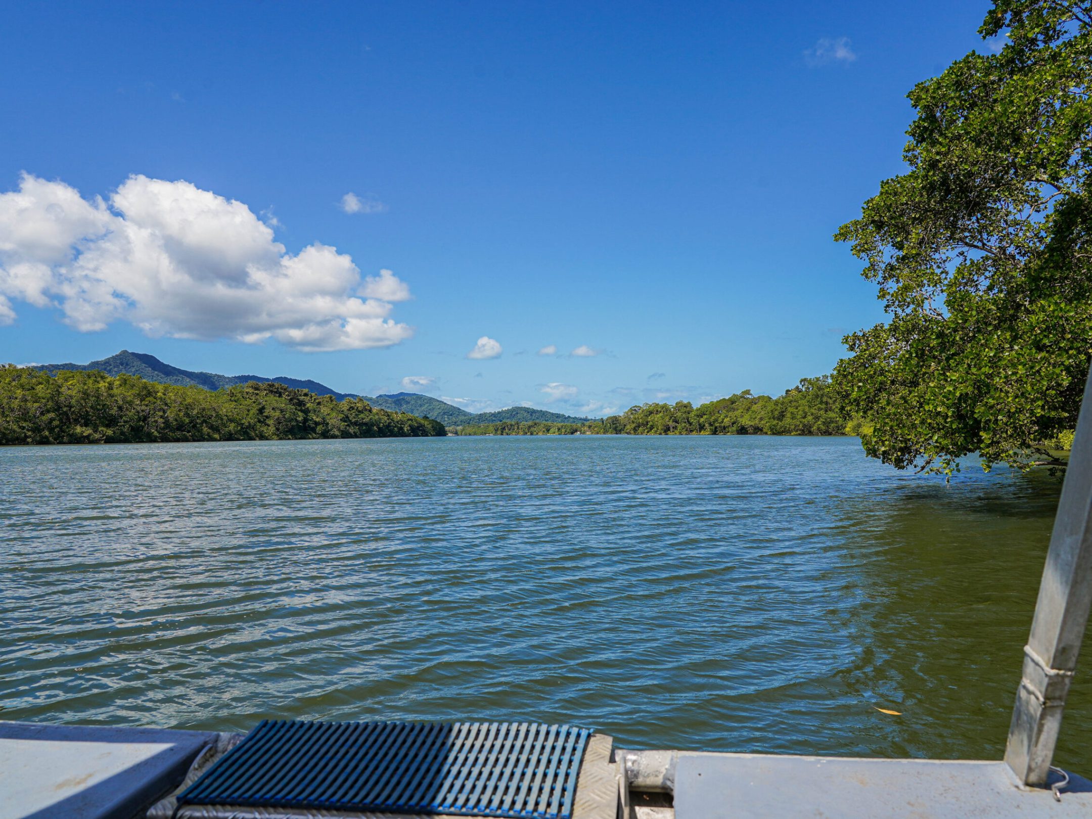 Daintree River view from the cruise with Daintree Discovery Tours