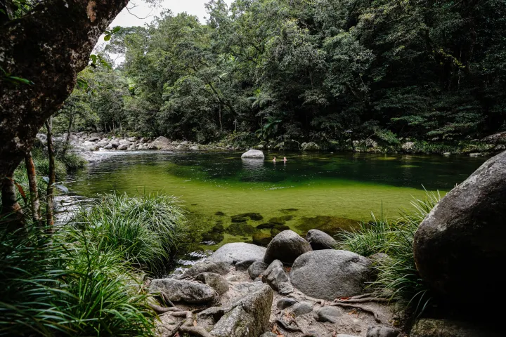 Explore Mossman Gorge with Daintree Discovery Tours