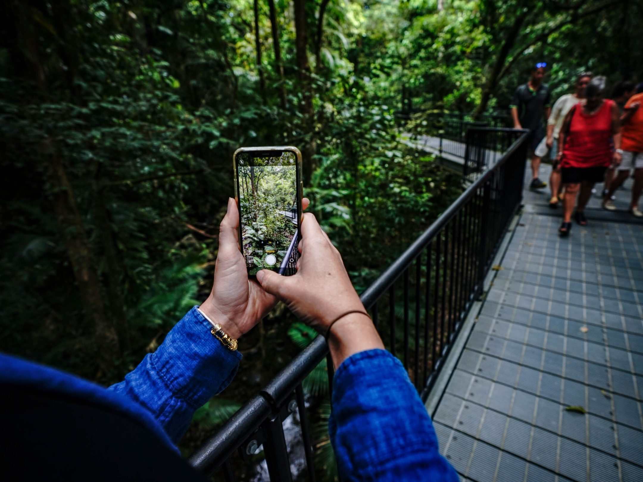Daintree Photography with Daintree Discovery Tours