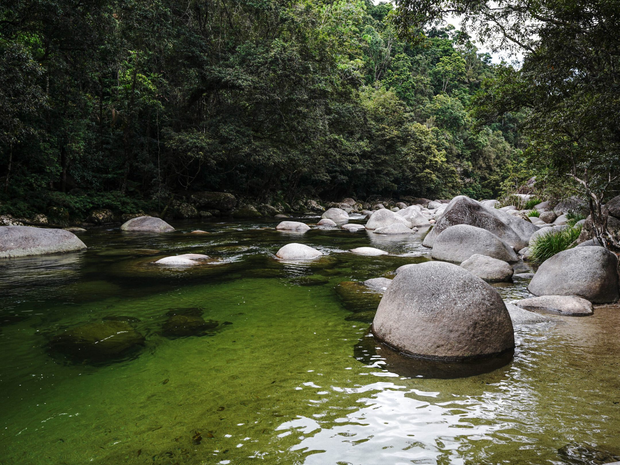 Mossman Gorge with Daintree Discovery Tours