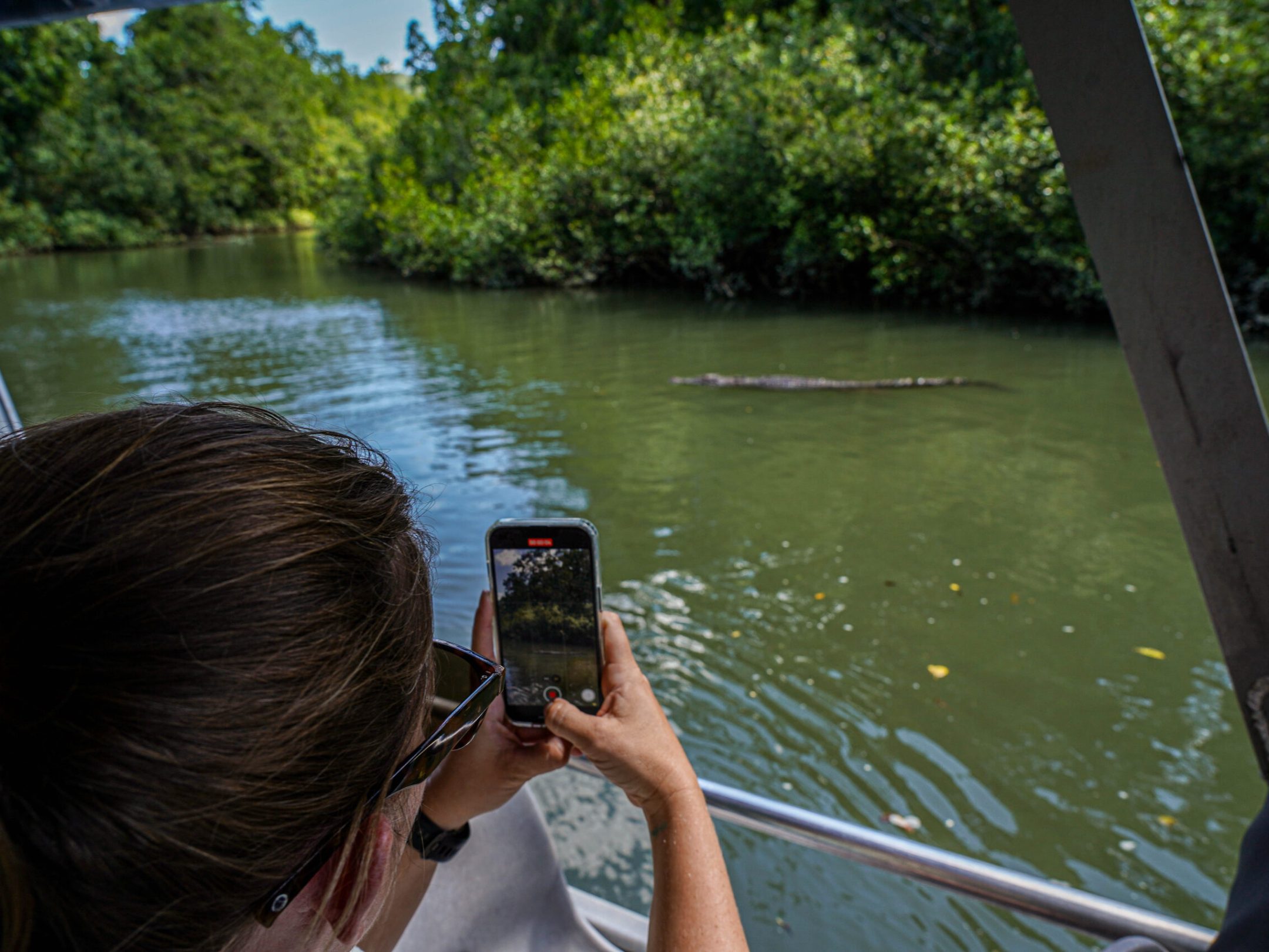 Wildlife photography on board a Daintree River Wildlife Cruise with Daintree Discovery Tours