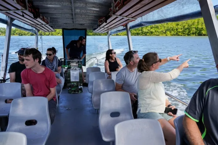 Daintree WIldlife River Cruise with Daintree Discovery Tours
